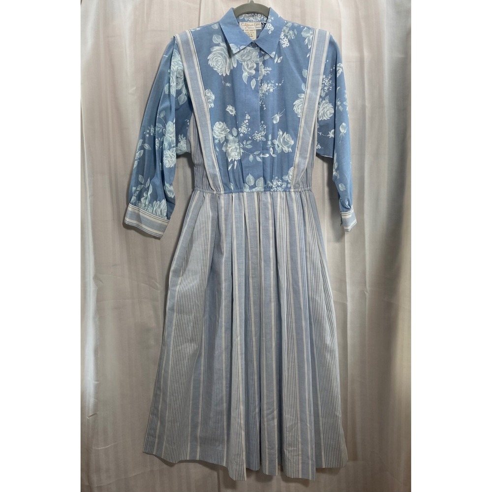Vintage 70s California Girl By Petrina Aberle Blue Floral‎ Stripe Midi Dress 6
